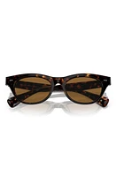 Oliver Peoples Avelin 52mm Butterfly Sunglasses in Shiny Black at Nordstrom