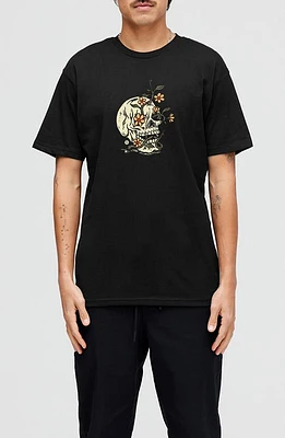 Stance Keep Growing Cotton Graphic T-Shirt in Black at Nordstrom, Size Small