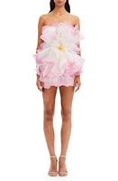 Oscar de la Renta Floral Strapless Organza Minidress in Soft Pink at Nordstrom, Size 8