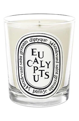 Diptyque Eucalyptus Scented Candle at Nordstrom, Size 6.5 Oz