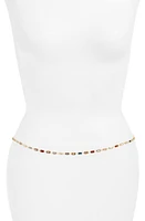 VIDAKUSH Rectangular Crystal Station Belly Chain in Multi/Gold at Nordstrom