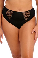 Elomi Namrah High Cut Briefs at Nordstrom,