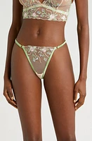 KILO BRAVA Embroidered Mesh G-String Thong Doll Floral at Nordstrom,