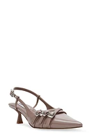 Steve Madden Loca Slingback Pointed Toe Pump at Nordstrom,