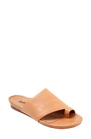 SoftWalk Corsica Slide Sandal Beige Leather at Nordstrom,