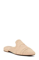 Birdies Dove Woven Pointed Toe Mule at Nordstrom,