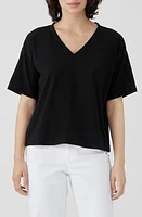 Eileen Fisher Boxy V-Neck Stretch Organic Cotton T-Shirt Black at Nordstrom,