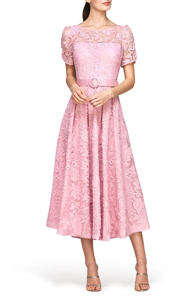 Kay Unger Haisley Belted Lace Cocktail Dress Pink Mauve at Nordstrom,