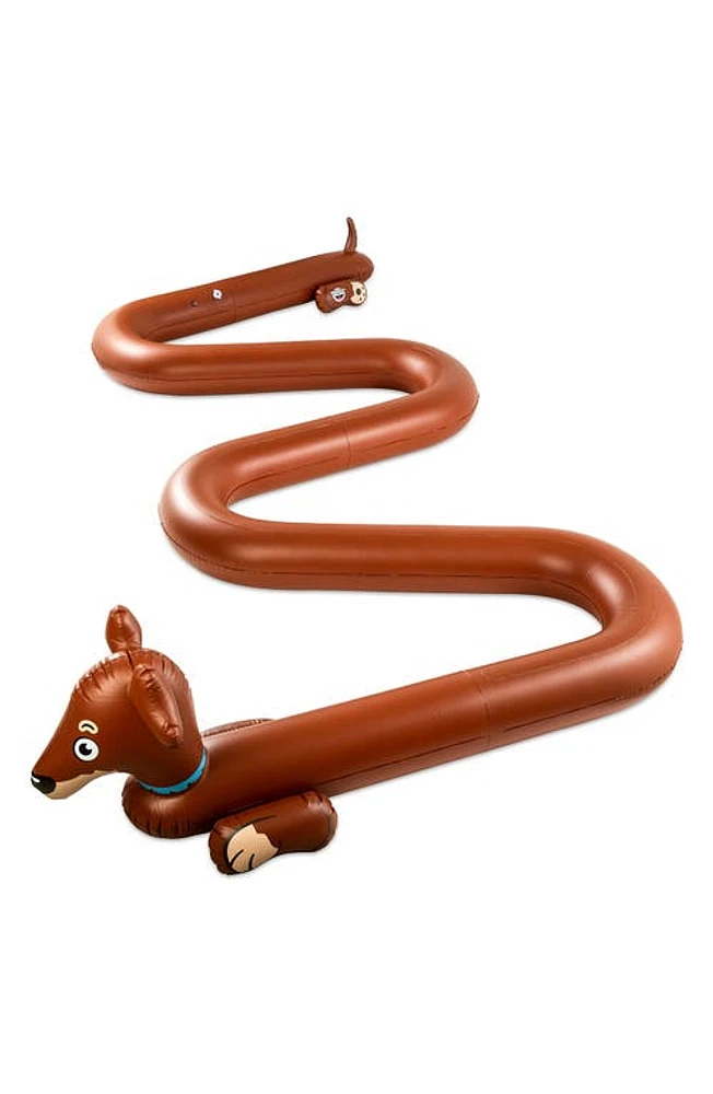 bigmouth inc. Weiner Dog Sprinkler in Multi at Nordstrom