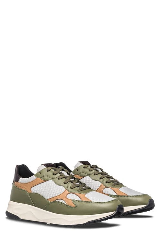 CLAE Zuma Sneaker Olive Leather Camel Walrus at Nordstrom,