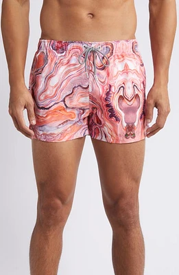 Boardies Krystle Shortie Swim Trunks Pink Multi at Nordstrom,