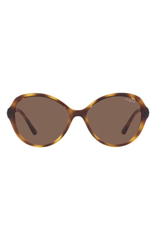 VOGUE 57mm Butterfly Sunglasses in Dark Havana at Nordstrom