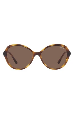 VOGUE 57mm Butterfly Sunglasses in Dark Havana at Nordstrom