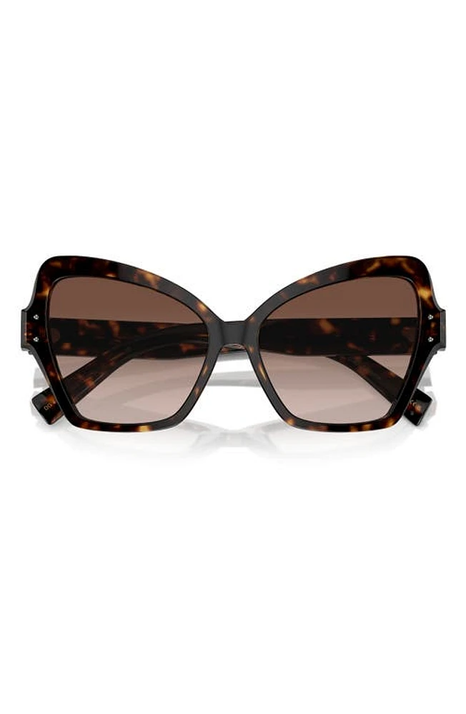 Dolce & Gabbana 56mm Gradient Butterfly Sunglasses in Havana at Nordstrom