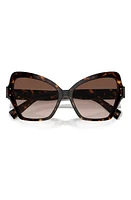 Dolce & Gabbana 56mm Gradient Butterfly Sunglasses in Havana at Nordstrom