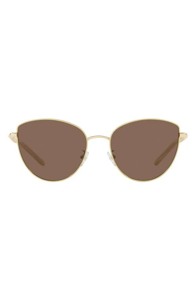 Tory Burch 56mm Cat Eye Sunglasses in Milky Ivory at Nordstrom