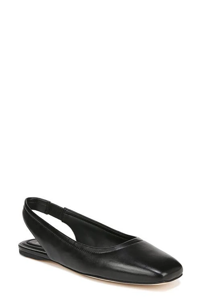 Sarto by Franco Flexa Antona Slingback Ballet Flat Black at Nordstrom,