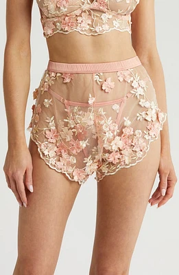 KILO BRAVA Embroidered Mesh Tap Shorts Peachy Pink at Nordstrom,