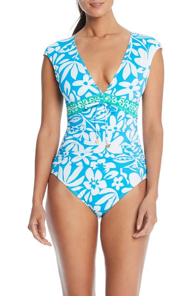 Rod Beattie Cap Sleeve One-Piece Swimsuit Coldwater at Nordstrom,