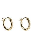 Argento Vivo Sterling Silver Pavé Cubic Zirconia Hoop Earrings in Gold/Silver at Nordstrom