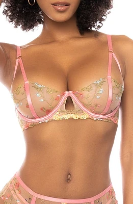 Mapale Floral Embroidered Balconette Bra, Thong & Garter Straps Pink Garden at Nordstrom,