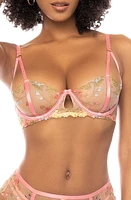 Mapale Floral Embroidered Balconette Bra, Thong & Garter Straps Pink Garden at Nordstrom,