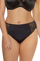 Elomi Cate Full Figure Briefs at Nordstrom,