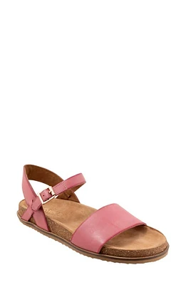 SoftWalk Upland Ankle Strap Sandal Fuchsia at Nordstrom,