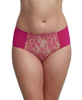 Skarlett Blue Entice Front Lace Brief in Goji/terracotta at Nordstrom