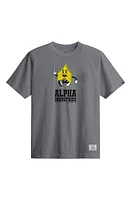 Alpha Industries Badge Logo Graphic T-Shirt Aircraft Gray at Nordstrom,