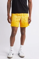 ICECREAM Katakana Reflective Mesh Shorts at Nordstrom,