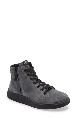 ara Reading High Top Sneaker in Graphite Velour at Nordstrom, Size 6