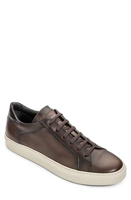 TO BOOT NEW YORK Pescara Sneaker Dark Brown at Nordstrom,