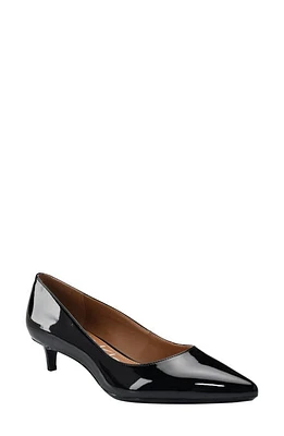 Calvin Klein Gabrianna Kitten Heel Pointed Toe Pump Black at Nordstrom,