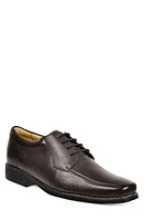 Sandro Moscoloni Bicycle Toe Derby at Nordstrom,