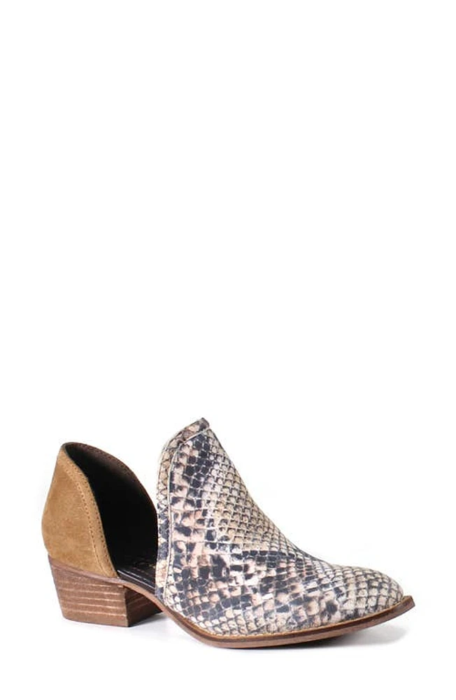 Diba True Shy Town Bootie at Nordstrom,