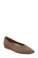 VIVAIA Aria Walker Pointed Toe Flat at Nordstrom,