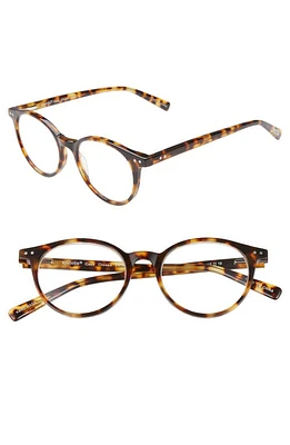 eyebobs Case Closed 49mm Round Reading Glasses in Tortoise /Clear at Nordstrom, Size +1.50