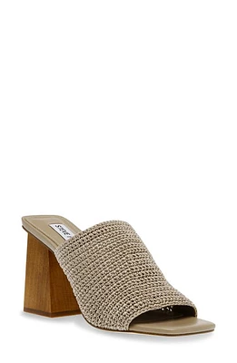 Steve Madden Realize Slide Sandal at Nordstrom,