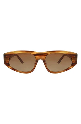 Banbé The Gemma Polarized Rectangular Sunglasses in Stripe Honey Tort at Nordstrom