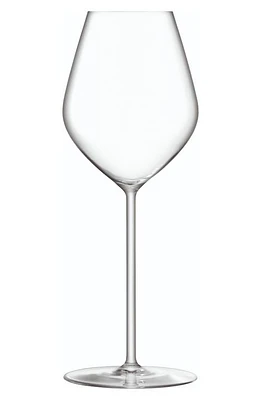 LSA Borough Set of 4 Tulip Champagne Glasses in Clear at Nordstrom