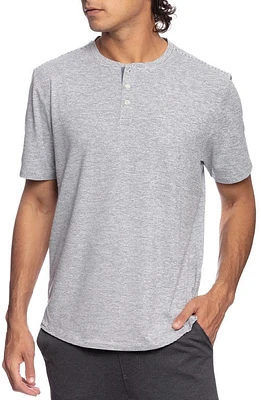 Fundamental Coast Sand Section Pinstripe Henley in Iron at Nordstrom, Size Small