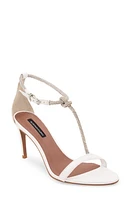 bcbg Trinnia T-Strap Sandal at Nordstrom