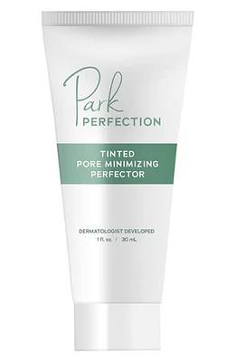 Park Perfection Tinted Pore Minimizing Perfector at Nordstrom