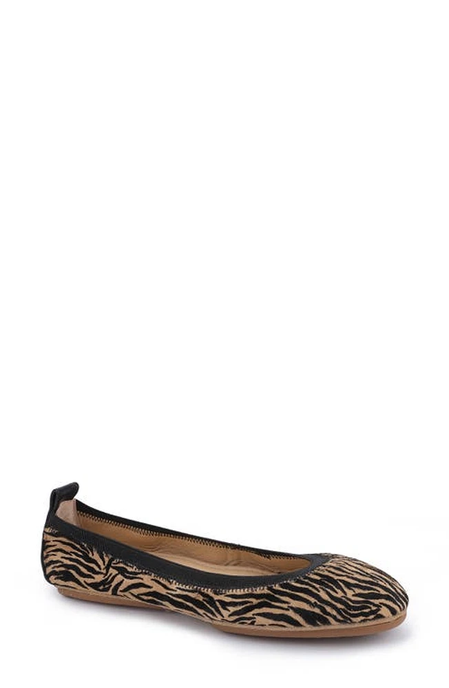 Yosi Samra Samara Genuine Calf Hair Foldable Ballet Flat in Zebra at Nordstrom, Size 5