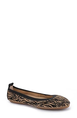 Yosi Samra Samara Genuine Calf Hair Foldable Ballet Flat in Zebra at Nordstrom, Size 5