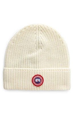 Canada Goose Arctic Disc Ribbed Toque Beanie in Cottongrass at Nordstrom