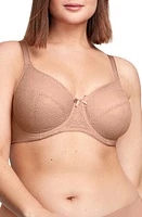 Glamorise Full Figure Lace Underwire Bra at Nordstrom,