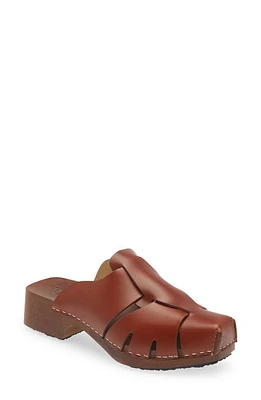 HEREU Licia Square Toe Fisherman Clog Tan at Nordstrom,