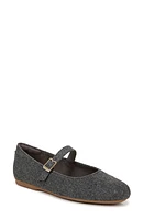 Dr. Scholl's Wexley Mary Jane Ballet Flat Charcoal at Nordstrom,